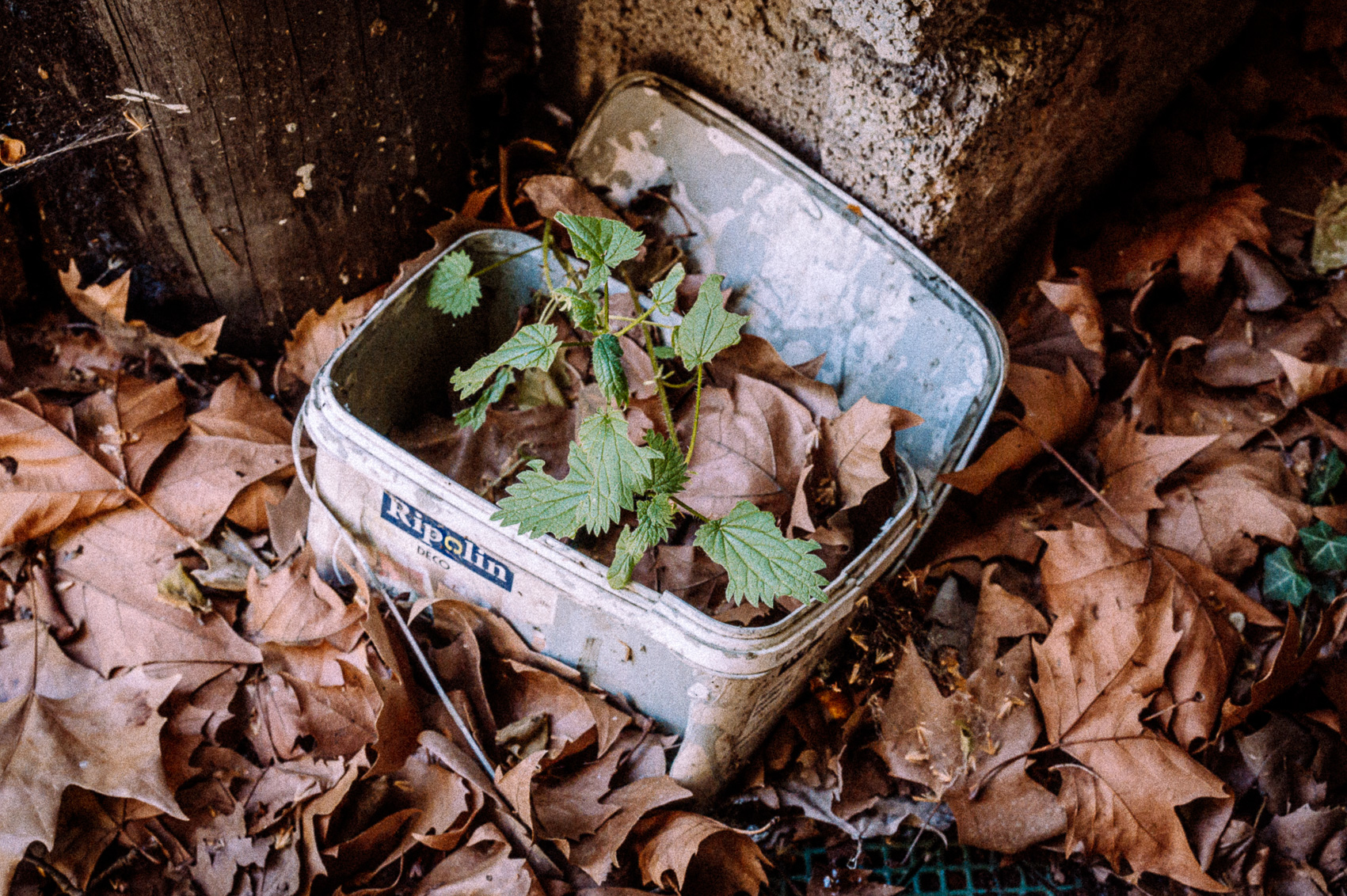 Déchets magiques