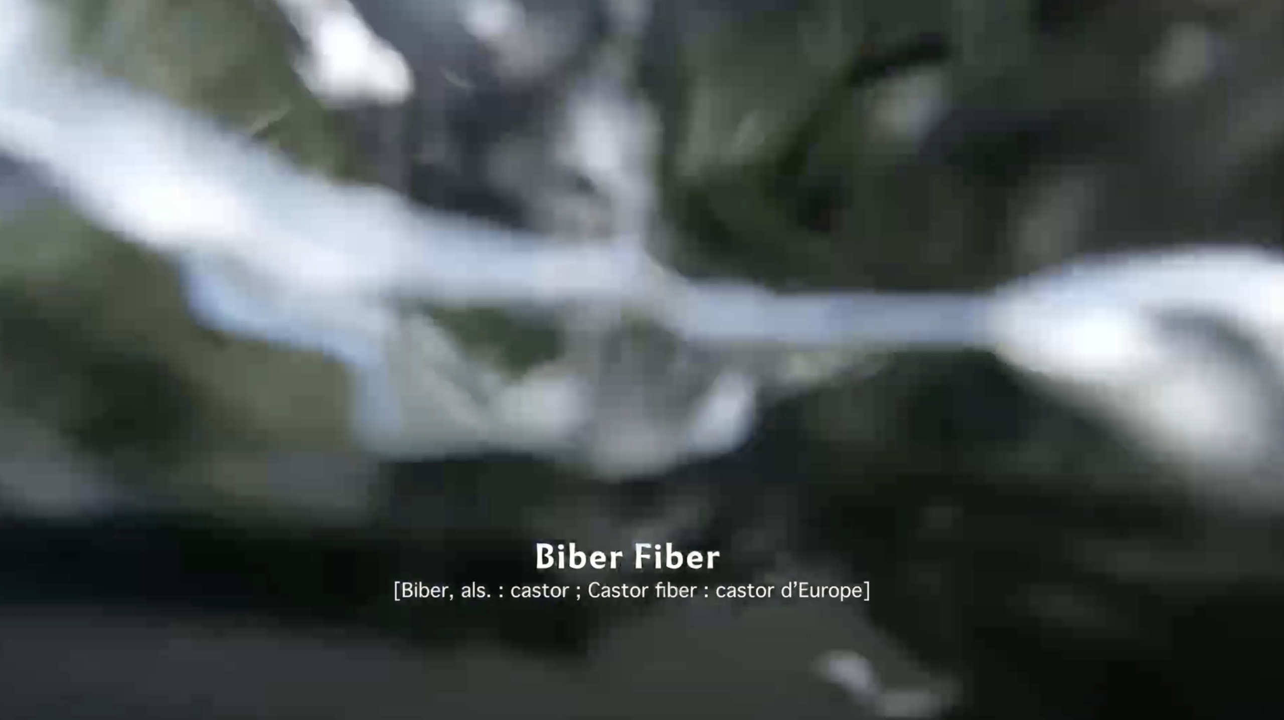 Biber Fiber — Film, 2’16